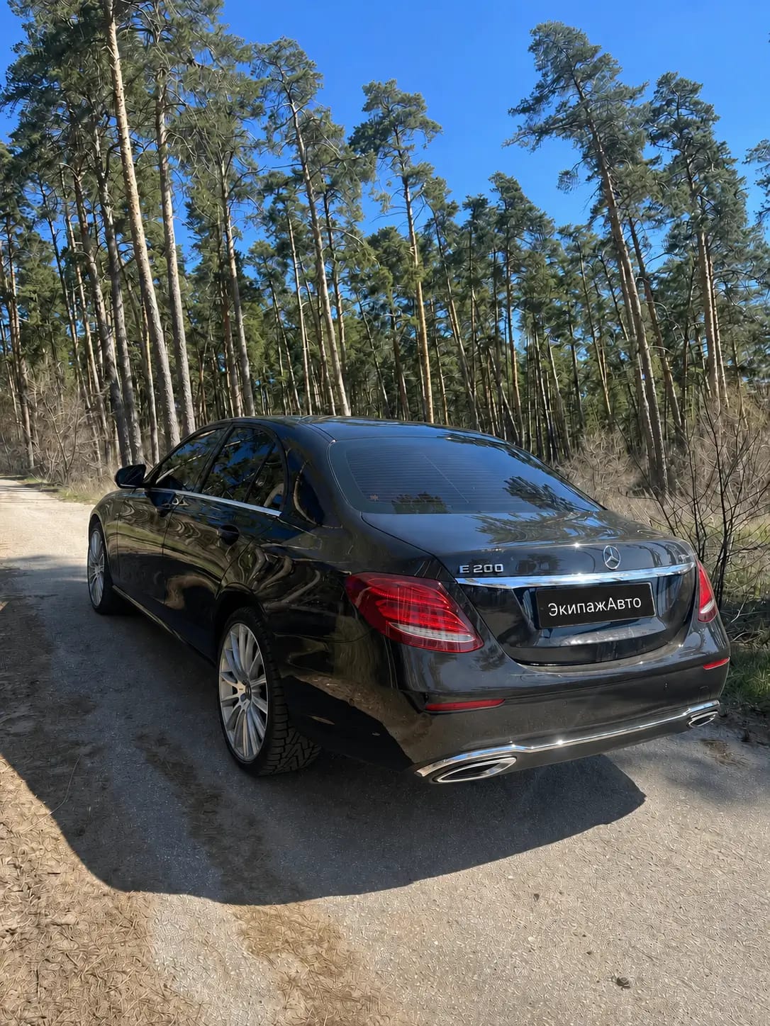 Mercedes-Benz E-Class 2019 года, задняя часть кузова