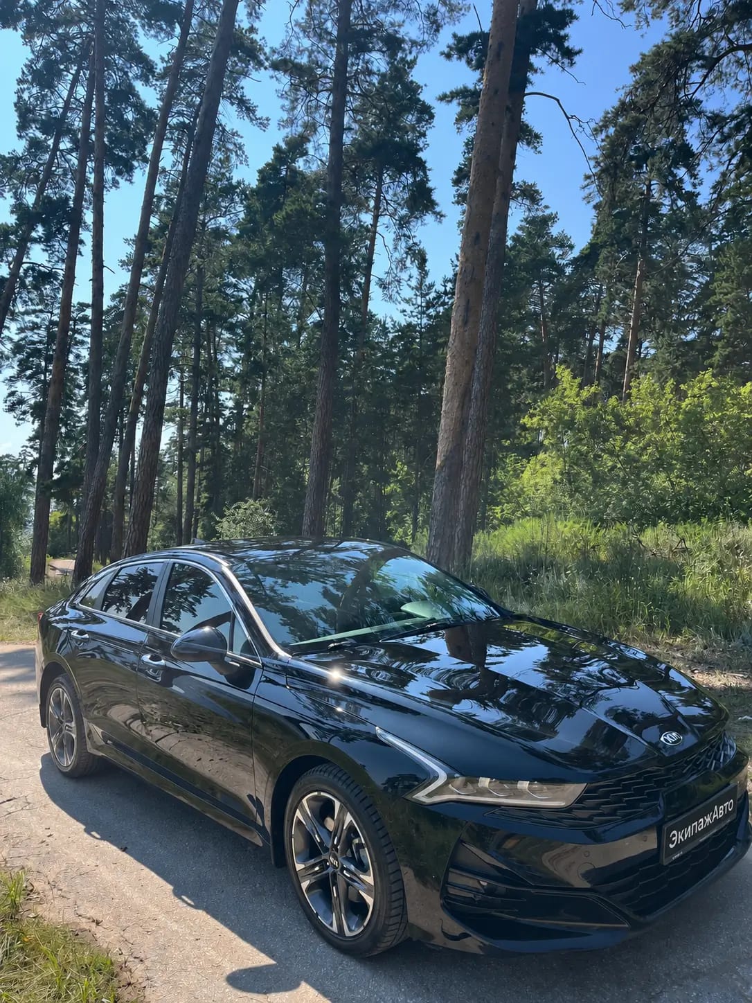Kia K5 2022 года, передняя часть кузова