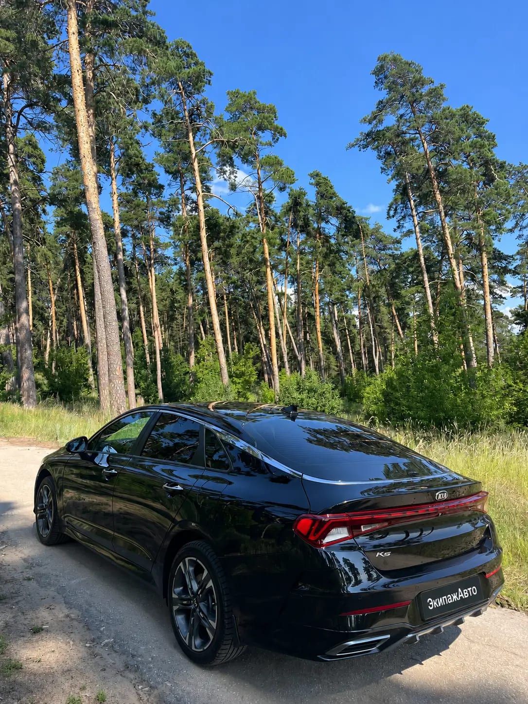 Kia K5 2022 года, задняя часть кузова